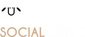 Logo socialowiec